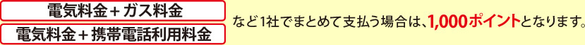 『電気料金＋ガス料金・電気料金＋携帯電話利用料金』など1社でまとめて支払う場合は、1,000ポイントとなります。
